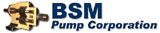 BSM Logo