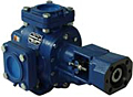 Ranger Rotary Gear Pumps