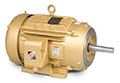 Pump Motors