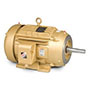 TEFC Close Coupled Pump Motors