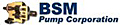 BSM Logo